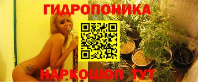 метадон Аргун