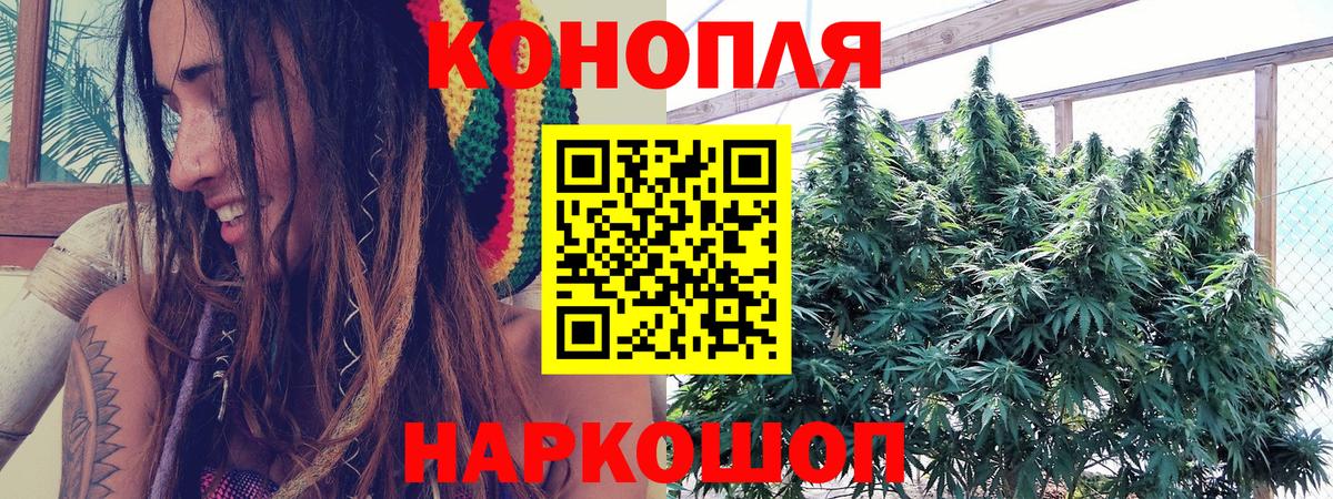 МАРИХУАНА планчик Вязьма